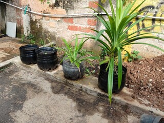 plant pots made from used bottles