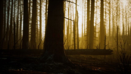 Golden light seeps through tall, slender trees in a dim forest, casting long shadows. The atmosphere feels mysterious and serene, hinting at a quiet evening in natures embrace.