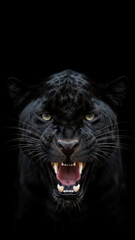 Intense Close-Up of a Snarling Black Panther Against a Dark Background