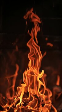 Vibrant orange flames engulf burning wood in dark background