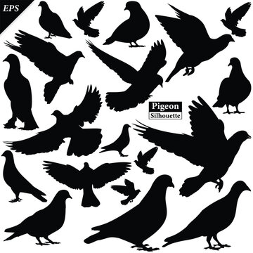 Set of pigeons silhouette isolated on white background, Beautiful pigeon logo icon vector design, standing, pigeons silhouette vector illustration, vector. Black pigeon Silhouette logo, bird icon