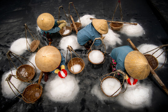 Aerial view of workers in conical hats harvesting salt, the white crystals contrasting against the dark ground, Nha Trang, Vietnam.