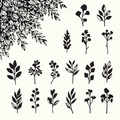 Collection of hand drawn botanical elements and twigs in black ink style for rustic and nature themed design projects