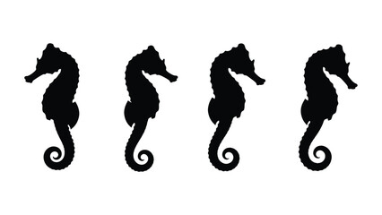 Four seahorses in a row a striking black shape silhouette © RASHIDA