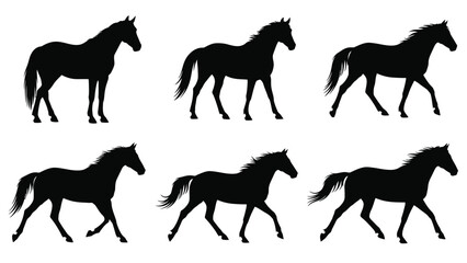 Six black horse silhouettes in various poses a striking visual silhouette