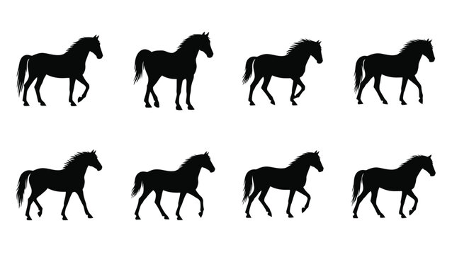 A row of black horse silhouettes depicting various gaits and poses silhouette