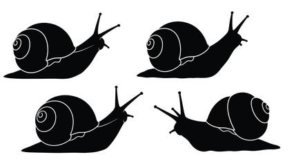 Four black snail silhouettes crawling on a white background silhouette © RASHIDA