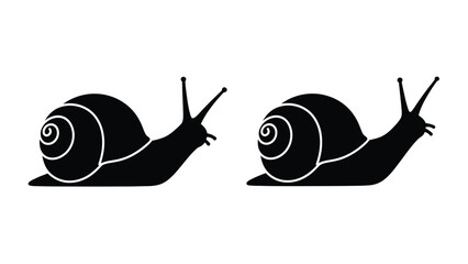 Two black snails crawling forward a striking silhouette © RASHIDA