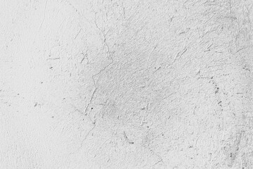 Subtle White Rough Plaster Wall Texture