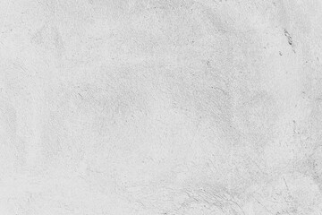 Subtle White Rough Plaster Wall Texture