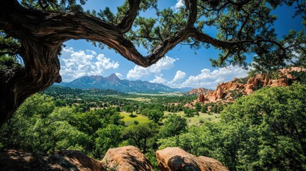 Majestic mountain landscape framed by curved tree branches