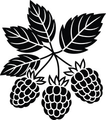 Raspberry silhouette illustration, berry fruit with leaves, black vector icon, organic harvest design, isolated botanical clipart, minimal