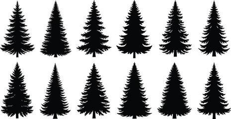 Obraz premium Black Pine Tree Silhouettes Set with Various Spruce Fir and Cedar Evergreen Profiles Isolated on White Background for Christmas Nature Forest Vector Graphic Design