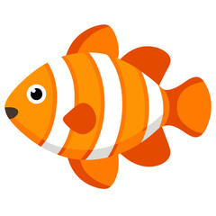 Bright orange clownfish swims alone