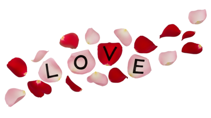 The image features the word 'LOVE' spelled out using rose petals, with the letters 'L', 'O', 'V', and 'E' formed by pink rose petals, and the letter 'V' highlighted with a red rose petal.