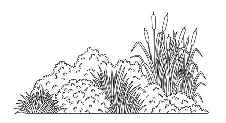 Detailed black and white illustration of reeds cattails and various wetland plants © Ziaul_Studio