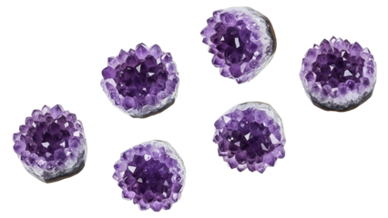 A group of six amethyst geodes arranged on a white background, showcasing their deep purple crystals and rough, rocky exteriors. The geodes vary slightly in size and crystal formation