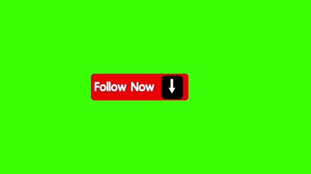 Follow now button animation on transparent background. Follow now button click animation. button with icon animation concept.