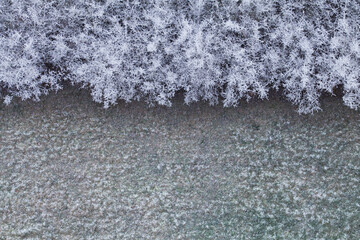 Frosty winter, Rime ice -  wildflower meadow landscape with frosty ice on plants. Delicate natural background.