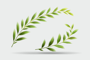 Obraz premium Realistic green willow branches with fresh leaves forming a graceful arch on a light grey background with soft shadow. Vector illustration.