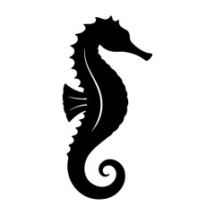 Black Seahorse Silhouette Isolated on transparent Background for Marine Life and Ocean Designs © QuickDesign24
