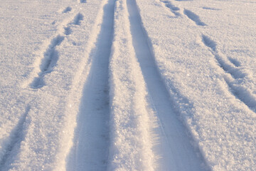Ski tracks in the snow. White snow-covered ground or surface of a frozen lake. Skier's ski tracks, dents in the snow. Winter background