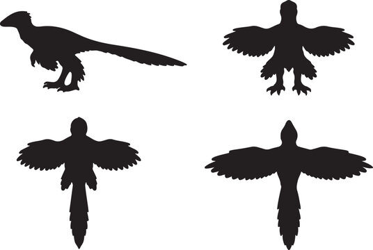 20260122_2033_Image Generation_simple_compose_01kfk1xwb7ey4byr58dqdz709s_png