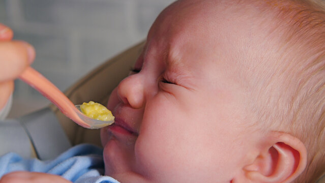 Close-up of a fussy baby's face showing disgust. Infant squeezes eyes shut, refusing to eat first solid food puree from a spoon. Authentic, relatable parenting moment