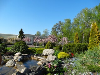 Pond in Mezhyhirya Landscape Park