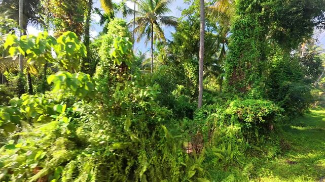 Train window view Sri Lanka