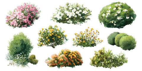 Bushes shrub flower landscaping gardening architecture elements watercolor set isolated on transparent background