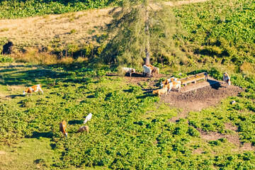 Alpine summer view at Rossfeld Panorama Road, Berchtesgaden, Bavaria, Germany