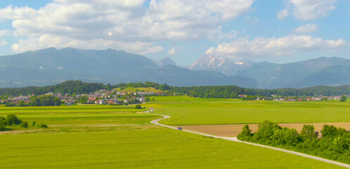 Fototapeta premium DRONE: Car drives along an empty country road leading past the fields of wheat.