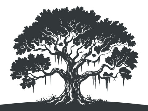 Spanish moss hanging from live oak tree silhouette, vector illustration, southern nature scenery, landscape graphics, botanical study, garden design, outdoor vector elements