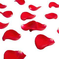 Fototapeta premium Scattered rose petals isolated on transparent background