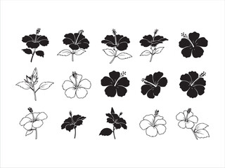Collection of Hibiscus Flower Silhouettes and Illustrations