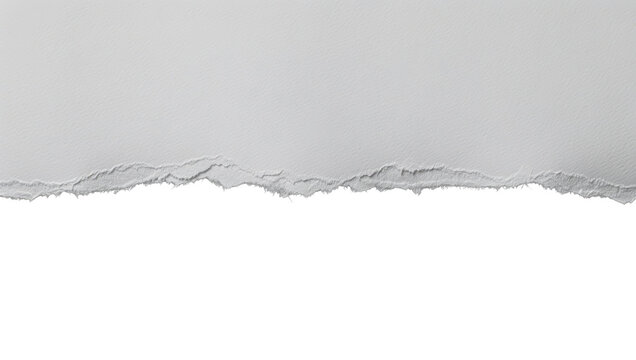 White paper with a rough ripped edge creating a distinct boundary isolated on transparent background