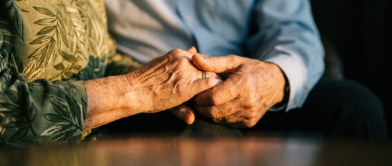 Elderly couple's wrinkled hands holding each other tenderly with wedding rings in warm evening sunlight, a close-up shot showing love, support, and lifelong companionship