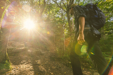 African American man hiking toward a sunburst peacefully through the forest and trees in nature on a trail up a mountain in Vermont, New England, USA