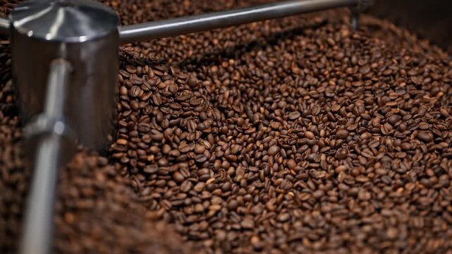 Selective focus shot of roasted coffee beans in an industrial cooling tray. Soft depth of field highlights texture and warmth for cafes, beverages, branding, hospitality, retail, and food production.