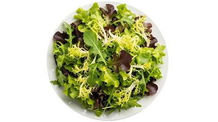 Plate of Fresh Green Salad