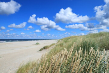 Sandy beach and coastal dunes covered with grass in Lubiatowo, Choczewo municipality, on the Baltic Sea coast in Poland. A sunny day with blue sky and picturesque clouds, showcasing a peaceful, natura