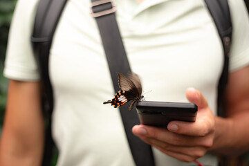 Attention restoration theory concept. Red-bodied swallowtail sitting on a smartphone. Digital Minimalism. Nature and technologies concept. © Viktoriia