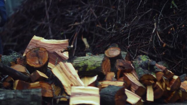 preparing for winter chopping stumps for firewood to heat the house