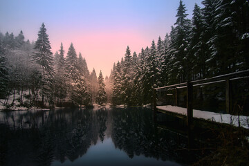 Abendlicht am Waldsee
