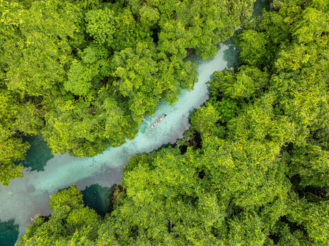 Aerial view of a bright blue waterway cutting through a vibrant green forest canopy, creating a stunning contrast of colors, Espirito Santo, Vanuatu.