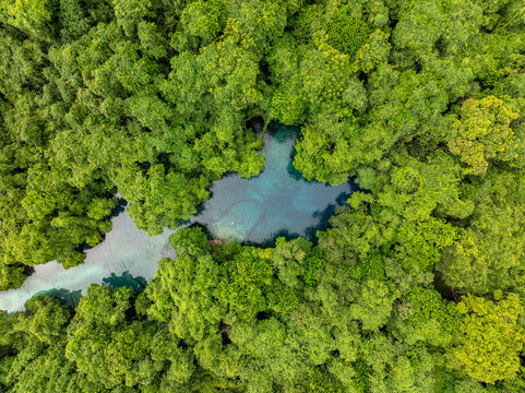 Aerial view of a serene blue hole surrounded by a lush, vibrant green forest, creating a striking contrast of colors, Espirito Santo, Vanuatu.