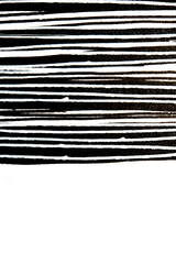 Thick Ink Pen Paint Black Lines on White Background Zebra Skin Barcode Shapes