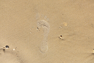 Human footprints in wet sand on a sunny beach