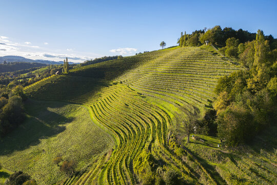 Aerial view of the vibrant green vineyard terraces cascading down the hillside under a clear blue sky, Silberberg, Steiermark, Austria.